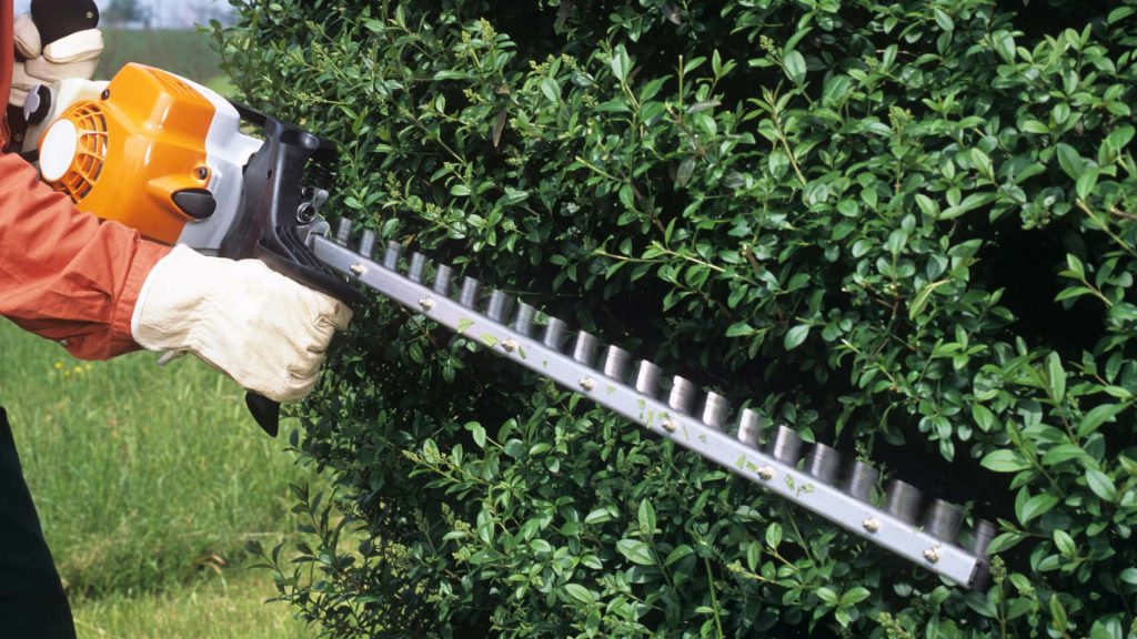 Hedge Trimming