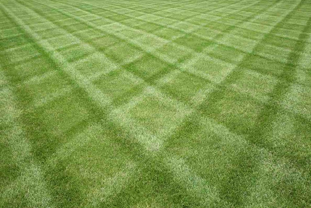 A perfectly mowed lawn in plymouth